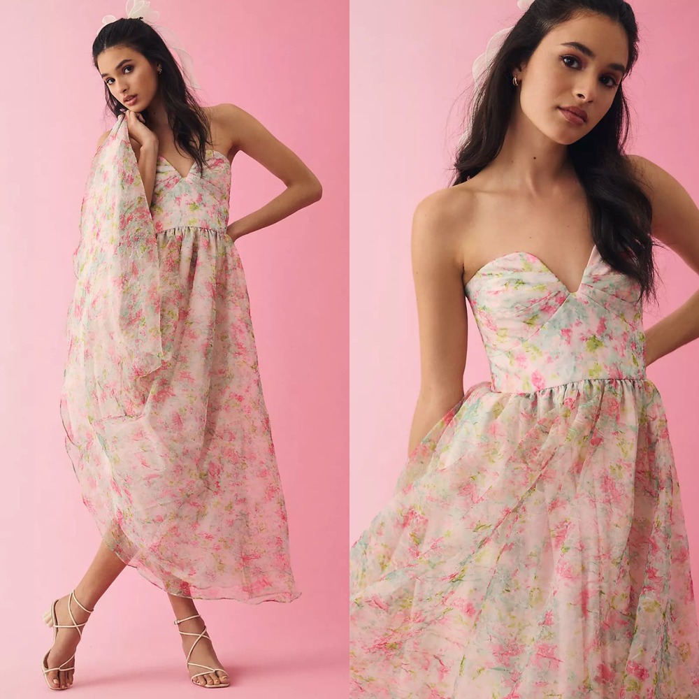 NWOT ML Monique Lhuillier Floral Organza Dress
